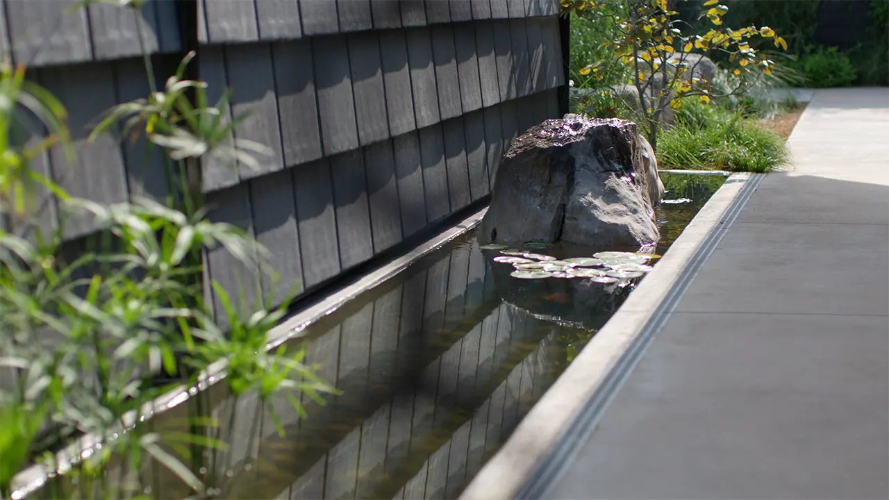 Frame Hotel SoCo — koi pond and native garden courtyard