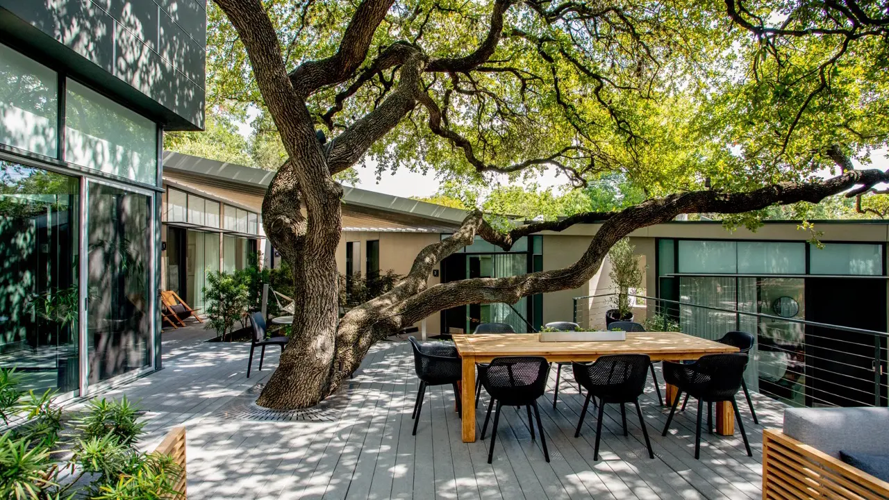 Treehouse deck looking toward the live oak canopy