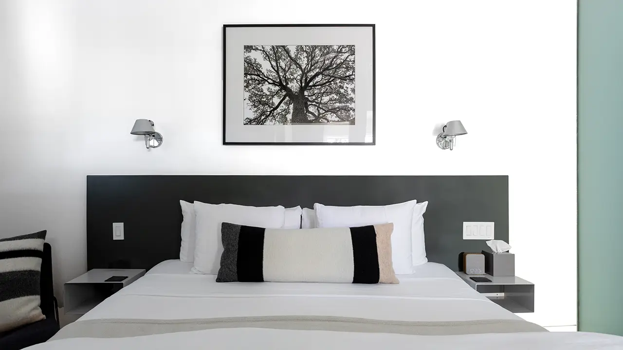 Treehouse sleep essentials